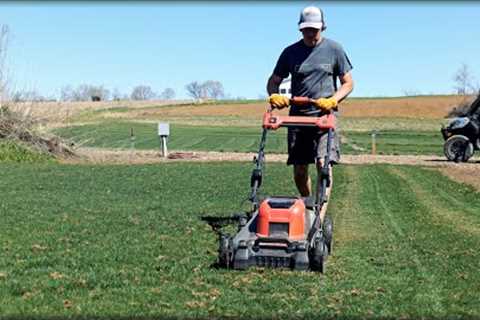 Mow Before Germination On Overseed?? + Spring Lawn Work + Finally Some RAIN