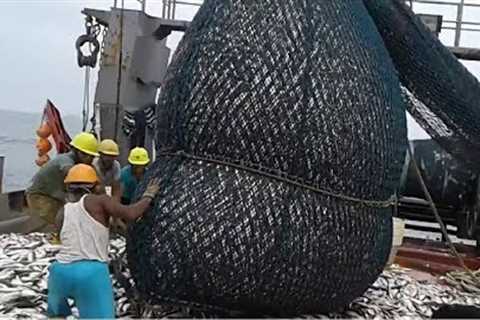 Big Catch in The Sea..You Won't Believe That How Many Fish, Awesome Fish Processing Machine