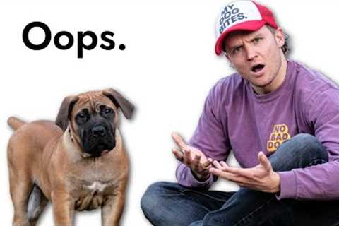 I messed up training my new puppy...