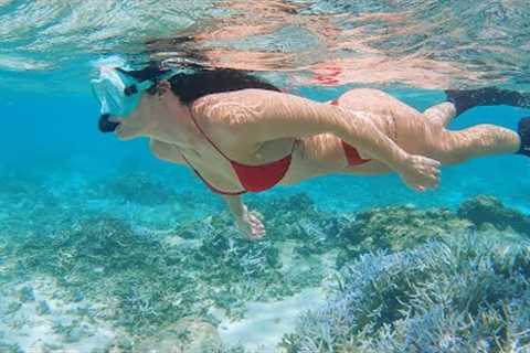 FISHING and DIVING - TROPICAL  LIFESTYLE ADVENTURE (Samoa)