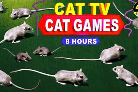 CATCHING MICE! Entertainment Video for Cats to Watch | CAT GAMES - CAT &amp; DOG TV.