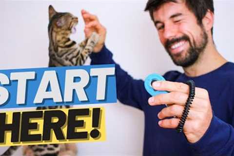 How to Clicker Train a Kitten - Start Clicker Training for Beginners