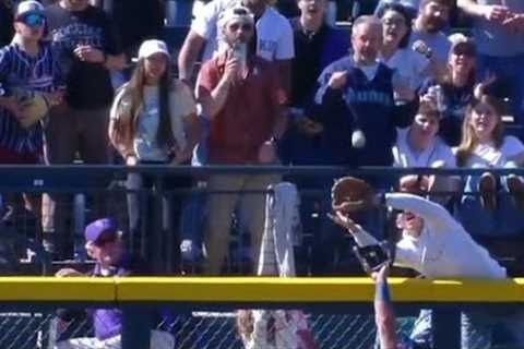 Fan Costs Rockies Walk-Off Home Run