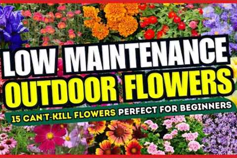 😱 Top 15 Can't-Kill Flowers Perfect for BEGINNERS 💪 LOW MAINTENANCE Flowers Outdoor! ✨💚