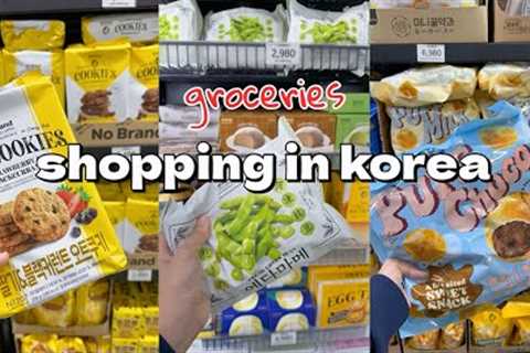 shopping in korea vlog 🇰🇷 grocery food haul with prices 🍪 snacks, gadgets, clothes wholesale club