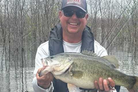 Bois D’ Arc lake already producing GIANTS!!!!!