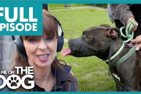 Owner wants to Give Away 'BEAST' Dog! | Full Episode | It's Me or the Dog