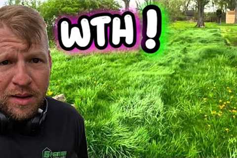 THIS IS WHAT HAPPENS WHEN YOU CAN'T CUT A LAWN BECAUSE OF RAIN!