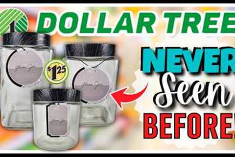 🔥 NEW DOLLAR TREE Finds TOO GOOD to PASS UP! HAUL These Awesome Items NOW! Family Dollar STEALS..