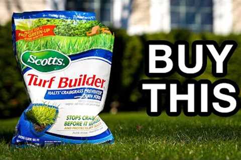 How to Fix Your Ugly Lawn in 4 Days (No Bullsh*t Guide)