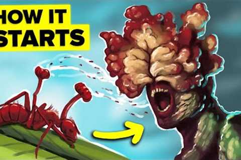 Why a Zombie Apocalypse Is Inevitable