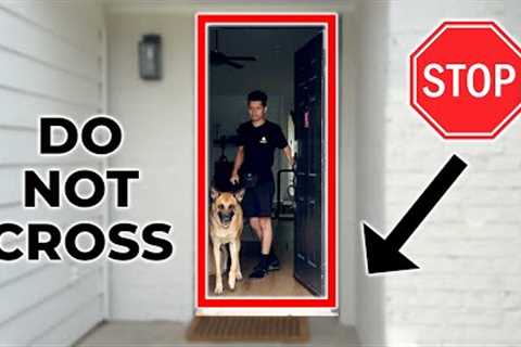 Train Your Dog to STOP Running Out The Door (Door Thresholds)