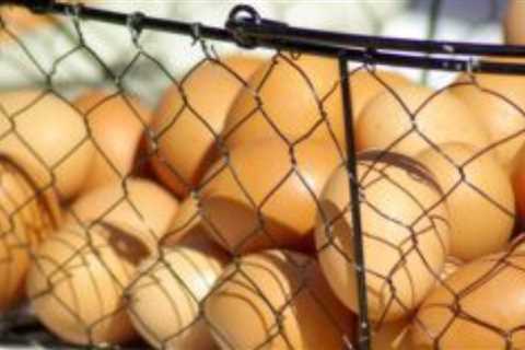 How To Prevent Calcium Deficiency In Chickens