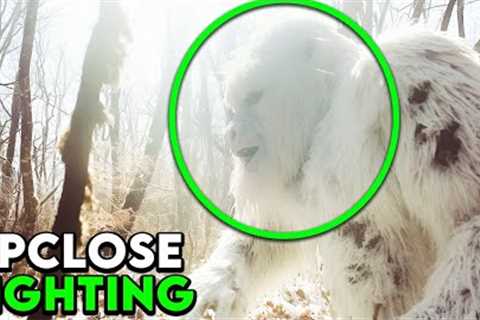 DISTURBING CREATURE SPOTTED ON TRAIL CAM