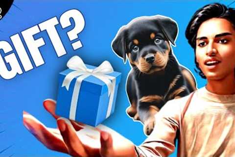 Surprise Gift For My Dog?🎁