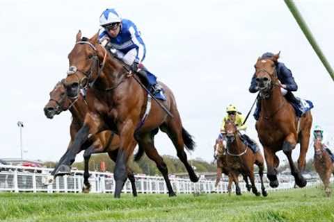 BELLUM JUSTUM books Derby ticket with Blue Riband triumph