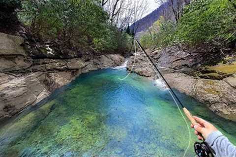 Fishing Hidden Waterfalls for Native Brook Trout | (Dry Fly Fishing)