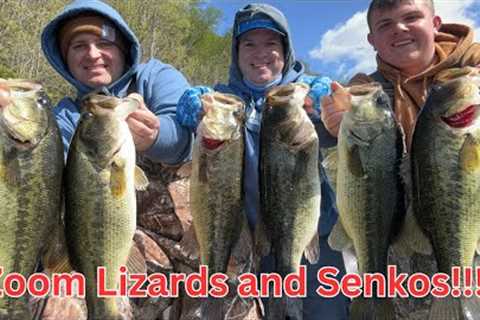 Lake Guntersville Bass Fishing Laydowns With Worms and Lizards