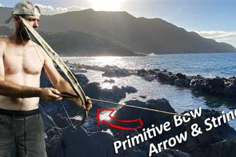 Island Survival Challenge: Bamboo Bow Build, Hunt, Catch &amp; Cook