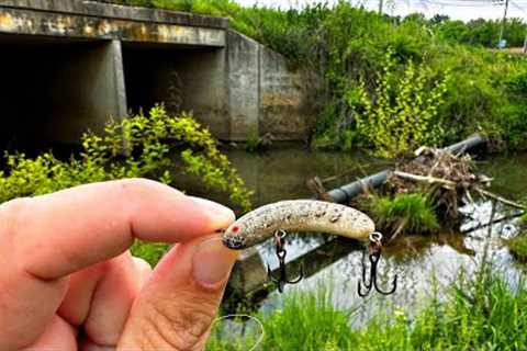 Creek Fishing with Old Rebel Lure...SURPRISE CATCH!!