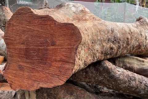Turning Tree Trunks into Stunning Tables. The Art of Creative Woodworking
