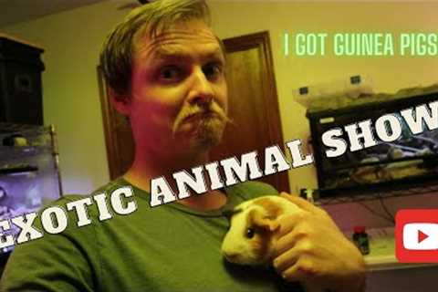Exotic Animal Show! I Got Guinea Pigs!