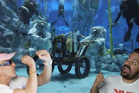Divers React to @smartereveryday diving at @NASA