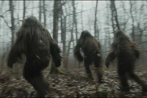 Hidden Trail Cam Caught Them Running Away