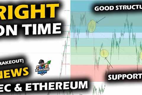 NEARLY THE SAME as Bitcoin Price and Altcoin Market Hold up After SEC Ethereum / XRP Similarity