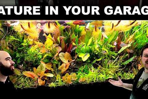Freshwater Biologists AMAZING Garage Aquariums