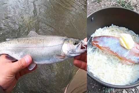 Rainbow Trout Fly Fishing Catch &amp; Cook!