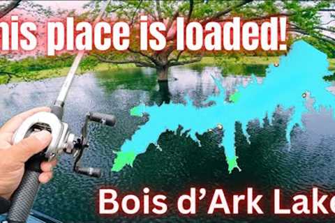 FINALLY fished Bois d'Ark Lake and it didn't disappoint!