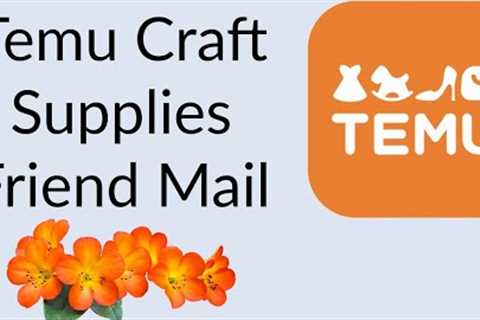 Temu Craft Supplies From @tijocreates