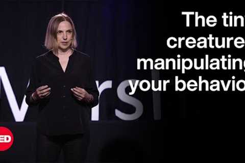Do Gut Microbes Control Your Personality? | Kathleen McAuliffe | TED