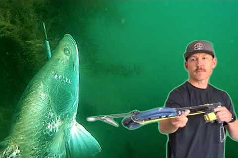 Exploring Winter Waters For Barramundi | Dive Day Reviews And Gear Showcase