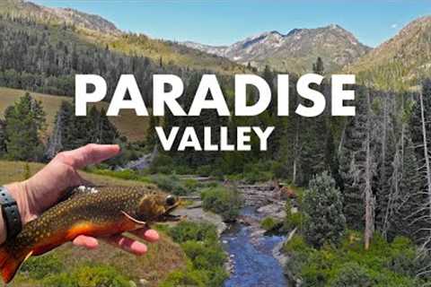 Unreal Creek Fishing in a Picture-Perfect Mountain Valley (Tenkara Fly Fishing)