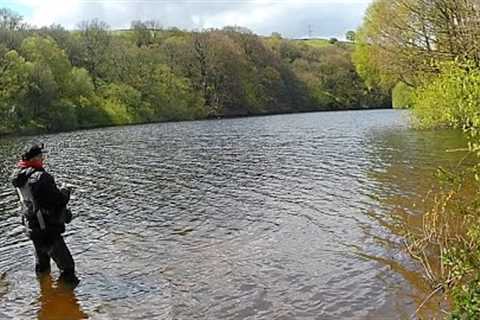 237. These Simple Colours Catch Trout - Fly Fishing UK