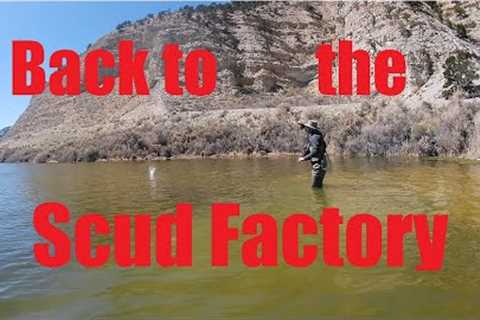 Fast action fly fishing at the Scud Factory.