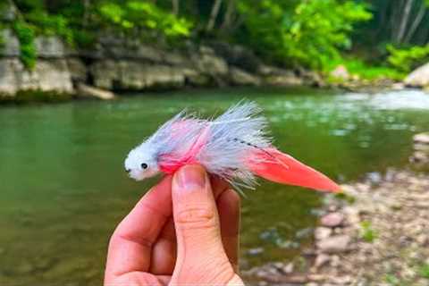 INCREDIBLE Fly Fishing for Big Brown Trout! (Streamer Fishing)