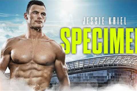 JESSE KRIEL THE SPECIMEN! (Best Rugby Highlights)