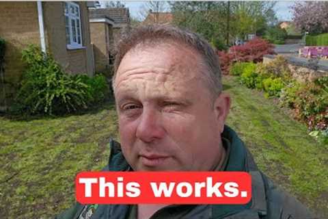 Revive Your Damaged Lawn in 11 Simple Steps - Beginner's Guide