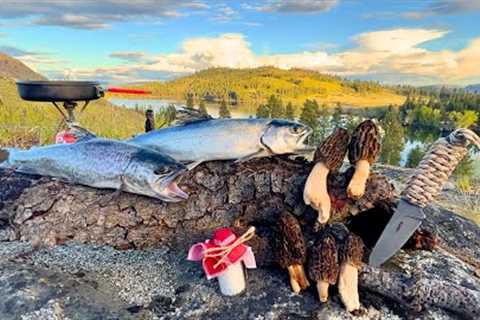 TIGER TROUT Fishing &amp; Wild Mushroom Foraging!!! (Catch &amp; Cook)