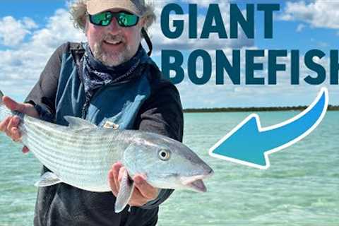 Fly Fishing for Giant Bonefish in the Bahamas!