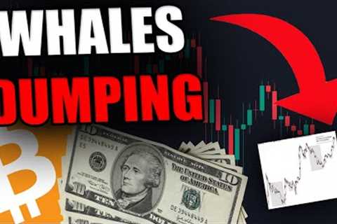 THESE BITCOIN WHALES ARE DUMPING NOW! BIG WEEK AHEAD!