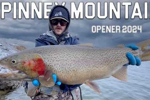 OPENING DAY 2024 - Spinney Mountain Reservoir | Fly Fishing for LARGE TROUT