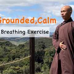 FEEL GROUNDED and CALM | 5-Minute Belly Breathing Exercise | Qigong for Beginners