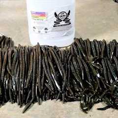 How Many Baits From 1 GALLON of Plastic?? Gallon Plastisol Challenge