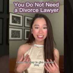 You May Not Need a Divorce Lawyer If...
