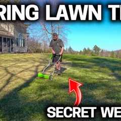 Simple Lawn Tips for a GREAT LAWN this SPRING
