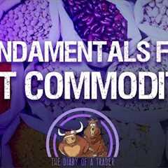 Fundamentals for Soft Commodities | how to trade agricultural commodities